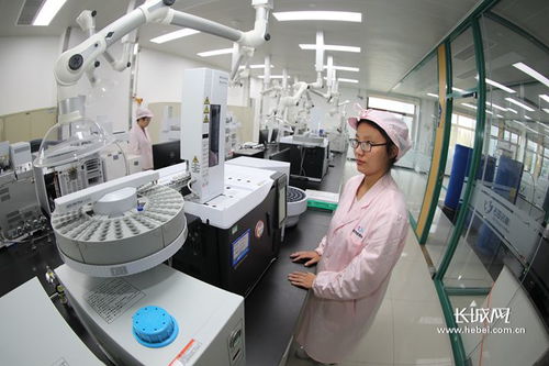 喜讯 石家庄四药再次被授予河北省政府质量奖
