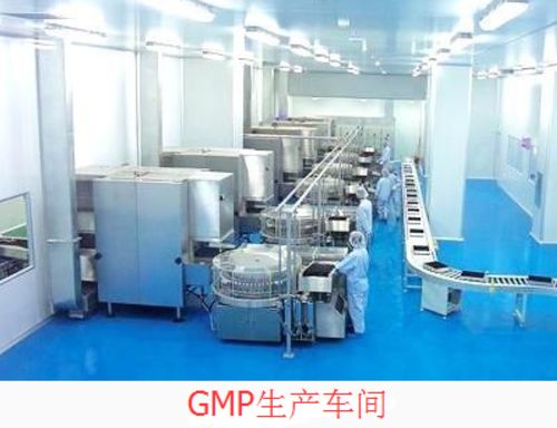 药厂净化设备与gmp生产车间净化工程施工要求
